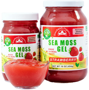 EverSmith Organics - Wildcrafted Irish Sea Moss Gel | Made in USA | Rich in Vitamins