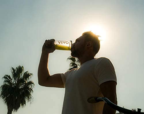 Vivo Life Perform Strawberry & Vanilla Flavour Vegan Protein Powder - BCAA Pea & Hemp Blend