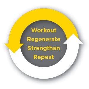 Dr. Schulze's | SuperProtein Plus | 100% Plant Protein Concentrate | Organic Powder Mix