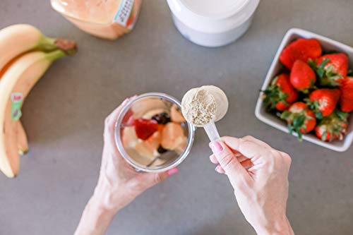 MILK DUST Bump DUST Prenatal Protein Powder 660g | Prenatal Vitamin | Prenatal Supplement