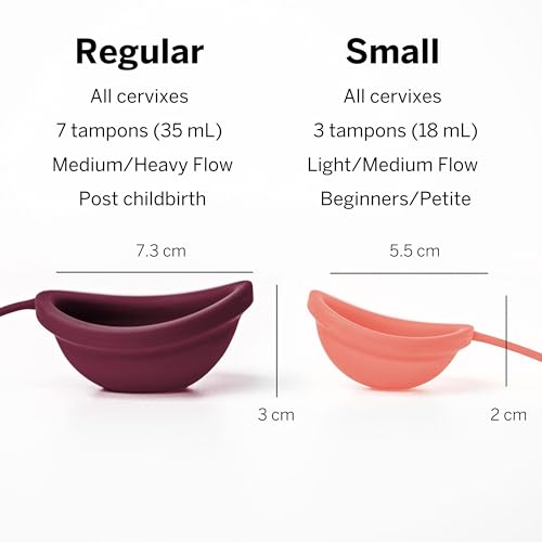 Pixie Menstrual Cup Sterilizer + Large & Small Pixie Disc - Kill 99.9% of Germs with Menstrual Cup