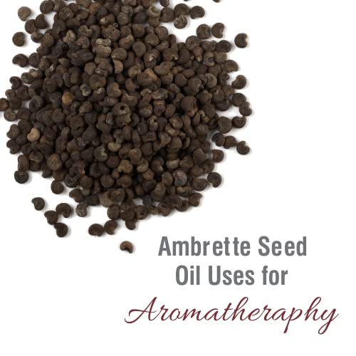 Crysalis Ambrette Seed (Abelmoschus moschatus) Oil - 0.51 Fl Oz (15ml)
