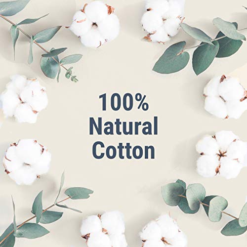 Veeda 100% Natural Cotton Applicator Free Tampons, 16 Count Super Absorbency unscented