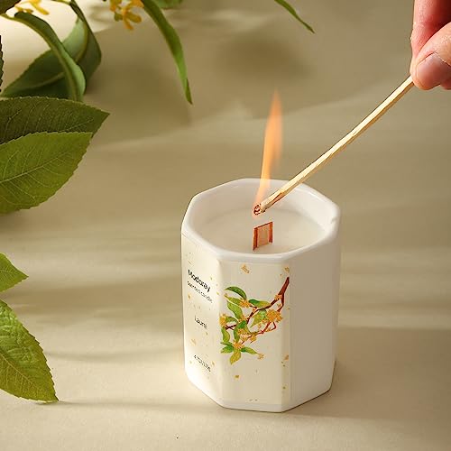 Modoray Scented Candle, Candles for Home Scented, Aromatherapy Candle，Long Lasting Natural
