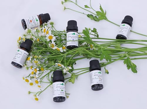 Essential Oils Set 100% Pure Natural DR.NITTA Top 6 Oils for Massage,Diffusers,Humidifier