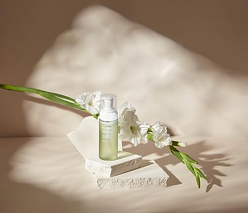 HUECALM Pure & Balancing Feminine Wash, Low pH Balance, Vegan, Korean Beauty Product