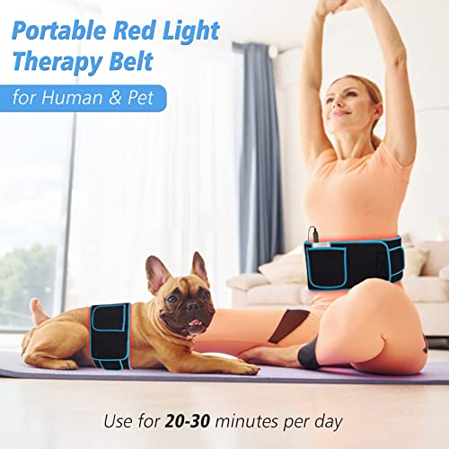 Red Light Therapy Near Infrared Light Therapy Wrap Belt for Body with Timer for Waist Back Shoulder