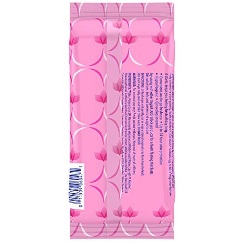 Vagisil Odor Block Daily Freshening Wipes for Feminine Hygiene in Resealable Pouch