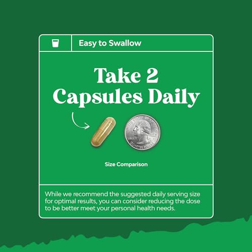 Prebiotics and Probiotics Gut Health Supplement - Super Potent Digestive Health Acidophil