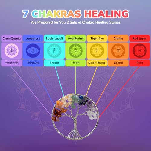 WVIOUOPU Healing Crystals and Chakra Stones Set - 13 Pcs Real Raw Healing Chakra Stones