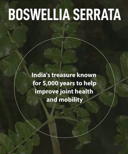 FromBIO for Joints Health and Cartilage, Boswellia, 1,000mg of Boswellia and 71mg of AKBA & KBA
