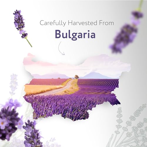 HBNO Organic Lavender Essential Oil - 1 oz (30ml) Value Size - USDA Certified Organic Lavender