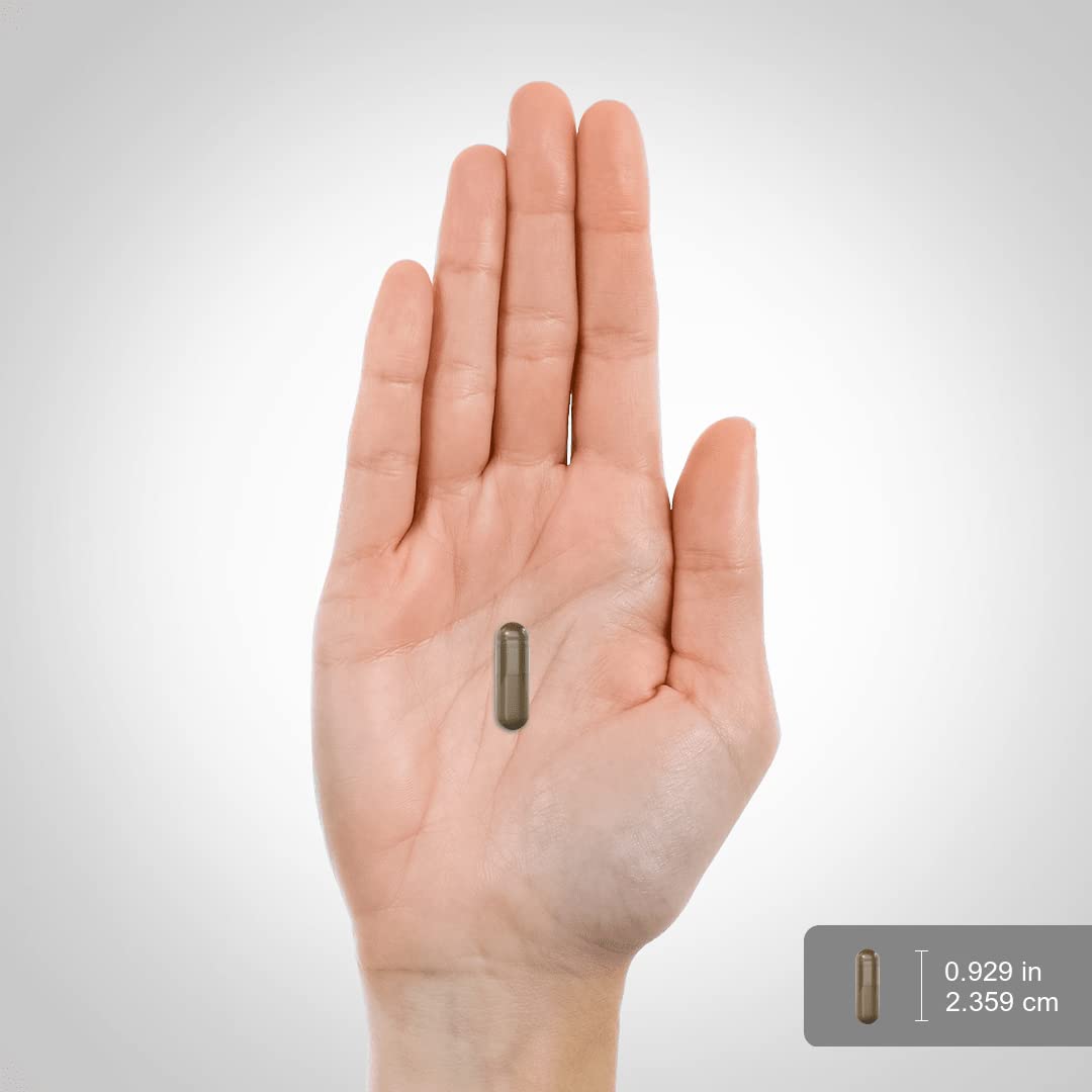 Fertility Supplements for Women | 120 Capsules | Complex Blend with Damiana, Chasteberry