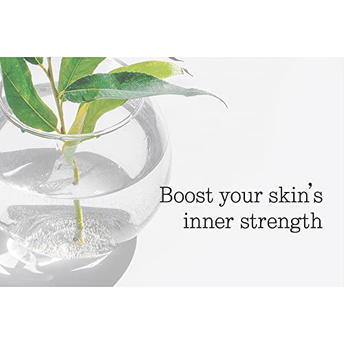 Pyunkang Yul Low pH Feminine Wash with Green Tea, Cica, Moisturizing for Women Vaginal Health