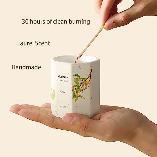 Modoray Scented Candle, Candles for Home Scented, Aromatherapy Candle，Long Lasting Natural