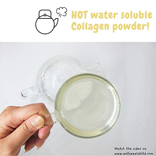 Cleanest Marine Collagen Peptides | Wellness Lab 454g | Type I,III | Highest Bioavailability Hydrolysed Protein