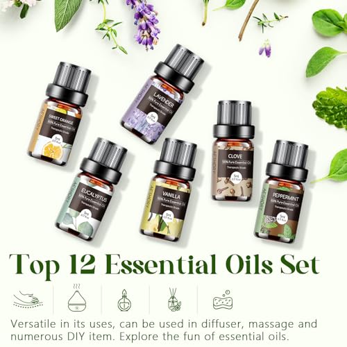 Essential Oils Set - 12 Pcs Aromatherapy Essential Oil Kit for Diffuser, Humidifier, Aromatherapy, Massage