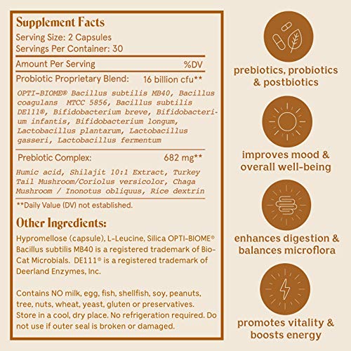 Solluna by Kimberly Snyder Feel Good SBO Probiotics Soil Based Organisms (SBOs)
