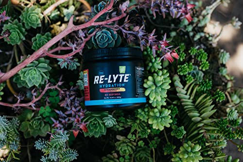 REDMOND Re-Lyte Hydration Electrolyte Mix (Strawberry Lemonade)