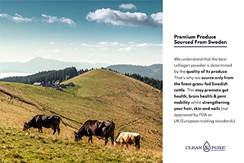 Clean & Pure Collagen Powder, Lab Tested Bovine Peptides with No or Zero Growth Hormones, Pesticides or Vet Meds - 400g