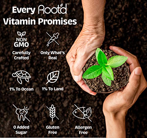 Rootd - Powder Prenatal Vitamin - Pregnancy Multivitamin with 25 Vitamins & Minerals A, C, D, E