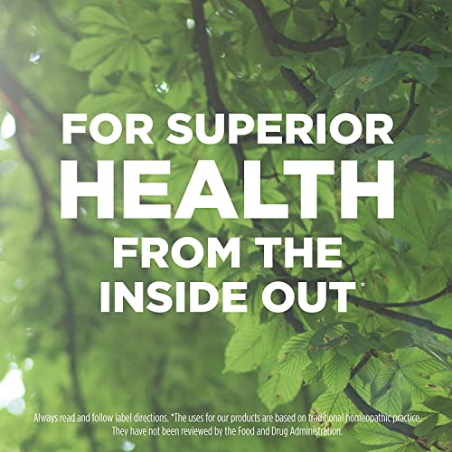 Hyland's Naturals No. 7 Cell Salt Kali Sulph 6X Tablets, Cystic Acne and Acne Scare Treatment