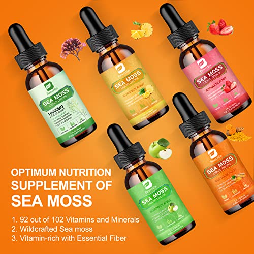 B BEWORTHS Sea Moss Liquid Drops - Organic Irish Sea Moss Raw Gel with Burdock Root