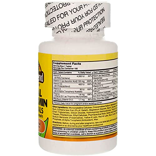 Nature's Blend Multivitamin Prenatal Formula 100 CT (Pack of 2)