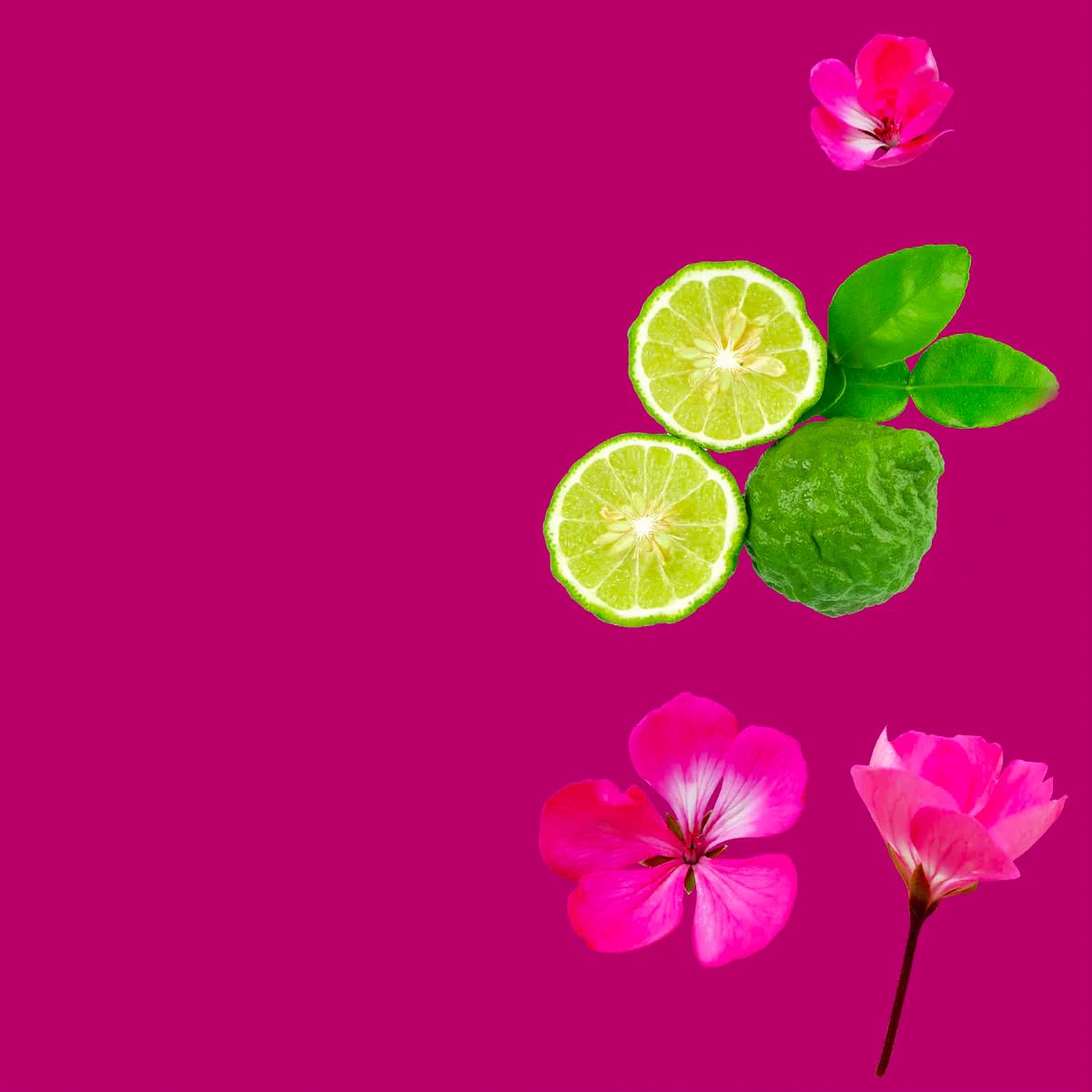 VINEVIDA [4 Fl Oz] Scent NO. 3300 Fragrance Oil for Cold Air Diffusers, Aromatic Notes of Bergamot