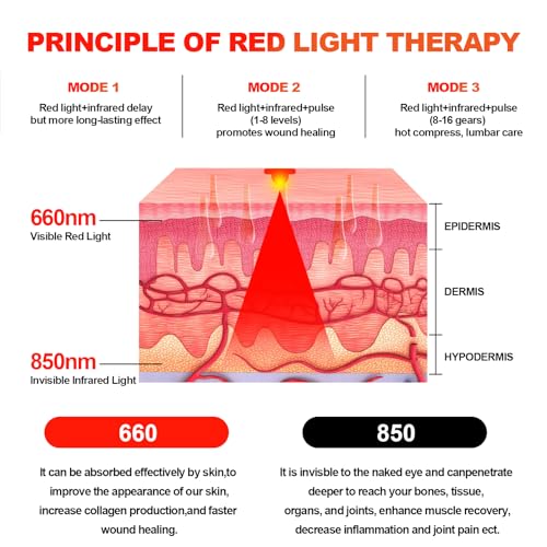 Red Light Therapy Belt Vibrating for Muscle Recovery and Pain Relief