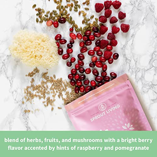 Sprout Living Epic Protein, Plant Based Protein & Superfoods Powder, Pro Collagen,