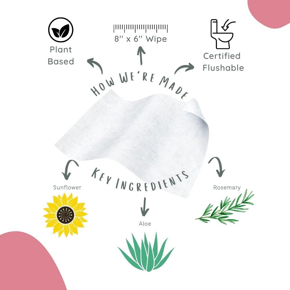Stall Mates Wipes Feminine Fresh - Flushable | Individually Wrapped Cleansing Travel Friendly PH