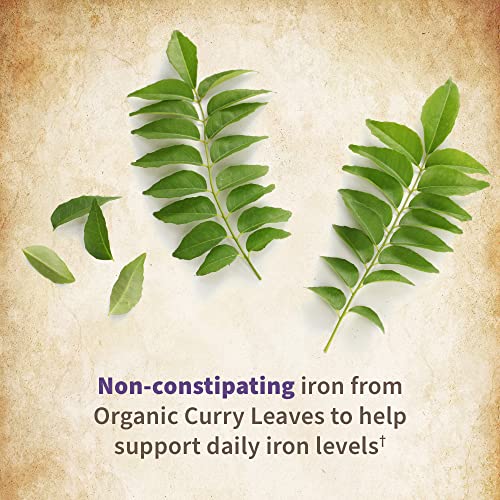 Garden of Life Organics Prenatal Vitamin: Folate for Energy & Healthy Fetal Development