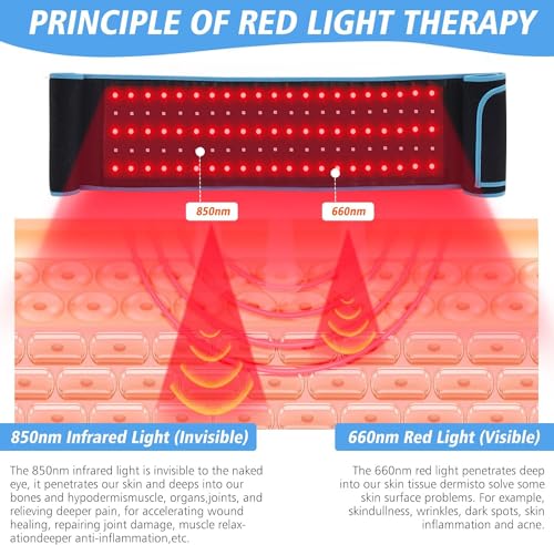 Red Light Therapy Near Infrared Light Therapy Wrap Belt for Body with Timer for Waist Back Shoulder