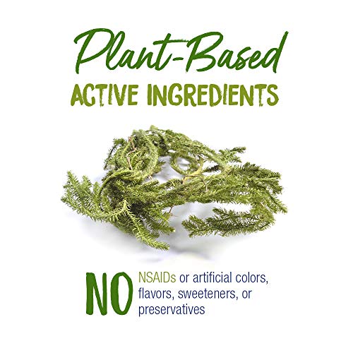 Boiron Lycopodium Clavatum 30C Homeopathic Medicine for Relief from Bloating, Gas Relief