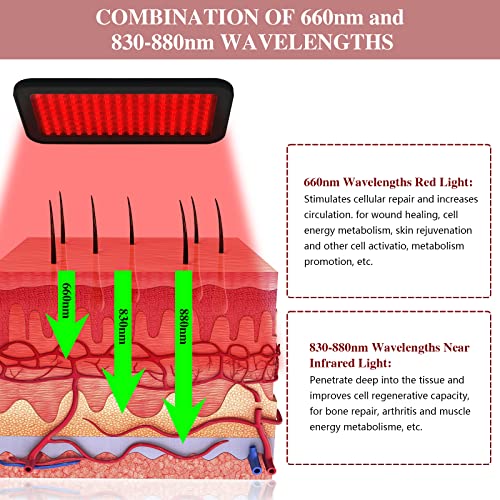 Red Light Therapy Belt, Infrared Light Therapy Wrap Red Light Therapy Device for Body, Pain Relief