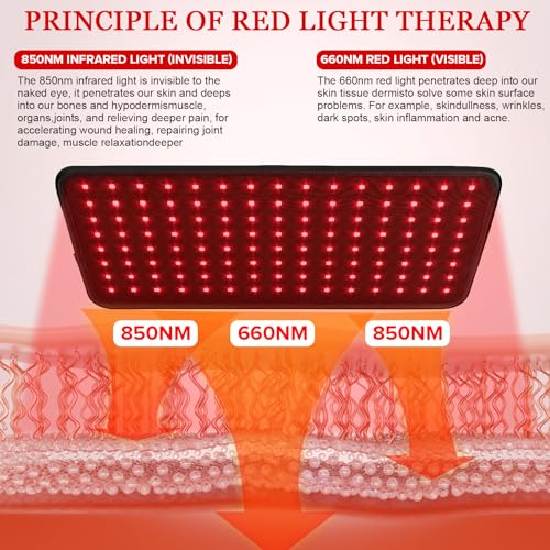 Yofalo 660nm LED Red Light and 850nm Near Infrared Red Light Therapy Belt Device for Body Pain Waist