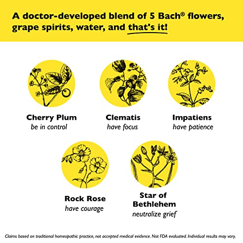 Day & Night Bundle, Bach RESCUE REMEDY Spray, Natural Stress Relief [and] RESCUE SLEEP Spray