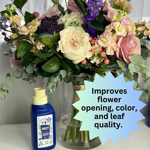 Chrysal Cut Flower Universal Food (10 ml/L Bottle) — Increase The Flower Boost with Floral Supplies
