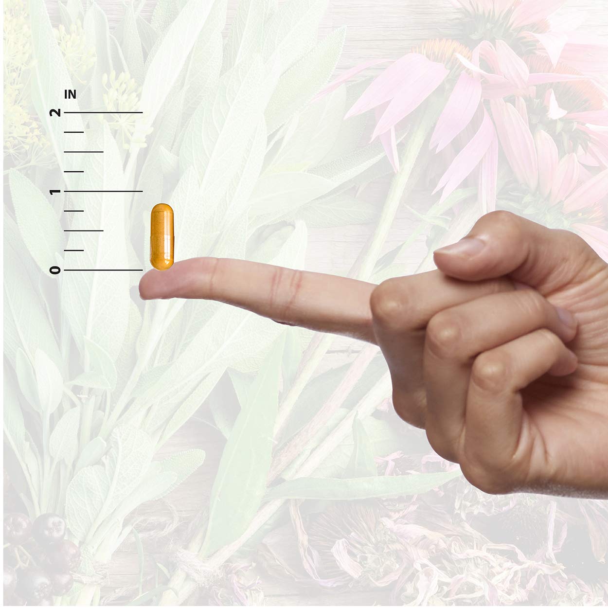 Nature's Answer Pueraria Mirifica Capsules 60 Count | Female Reductive Support | Smooth Skin & Hair