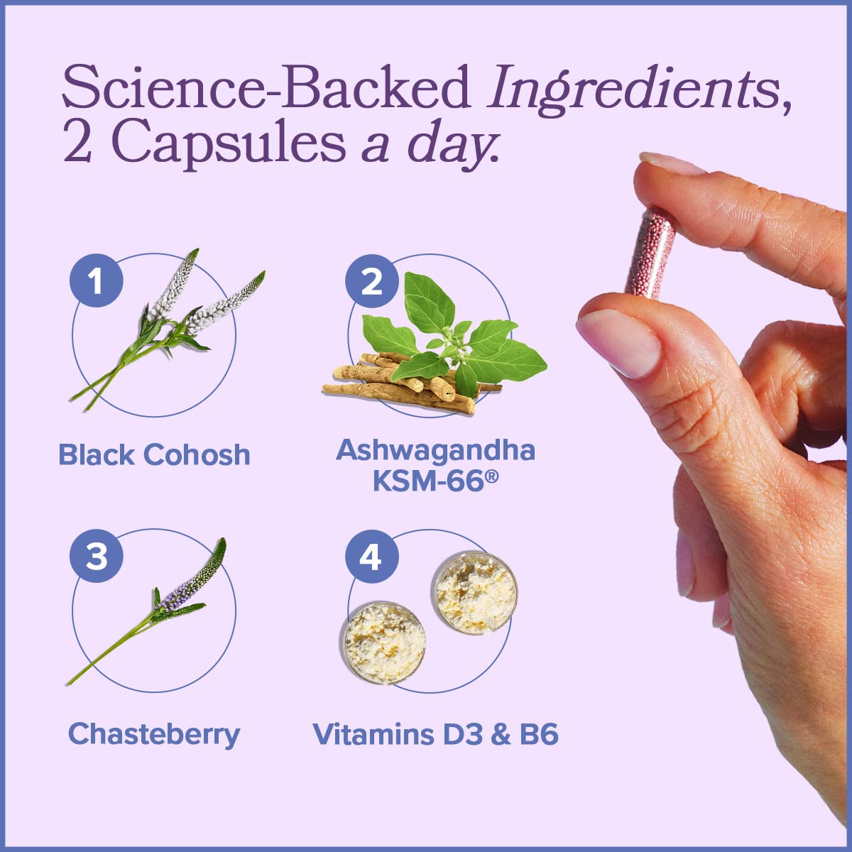 MENO Vitamins for Menopause, 30 Servings (Pack of 1) - Hormone-Free Menopause Supplements