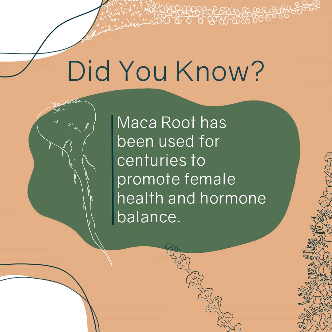 OWL Balance - Menopause Support for Women - Menopause + Perimenopause Relief