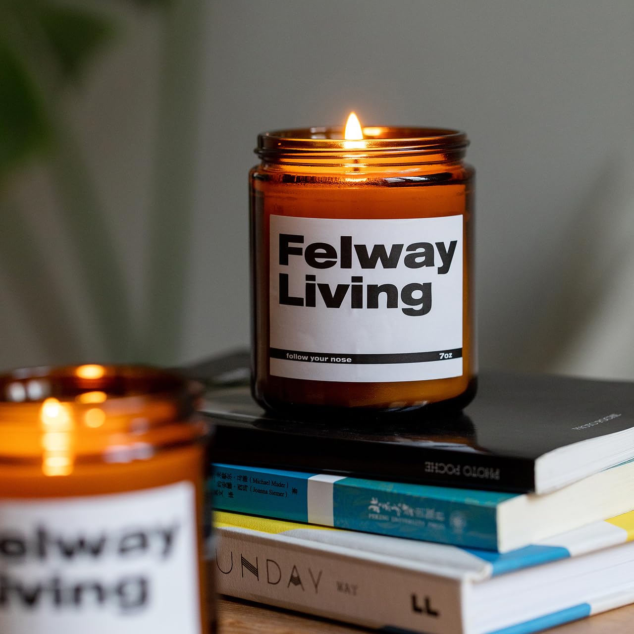 FELWAY Vanilla Scented Candle, Organic Soy Candle for Home Scented, 7 oz Long Lasting, Gift for Women's