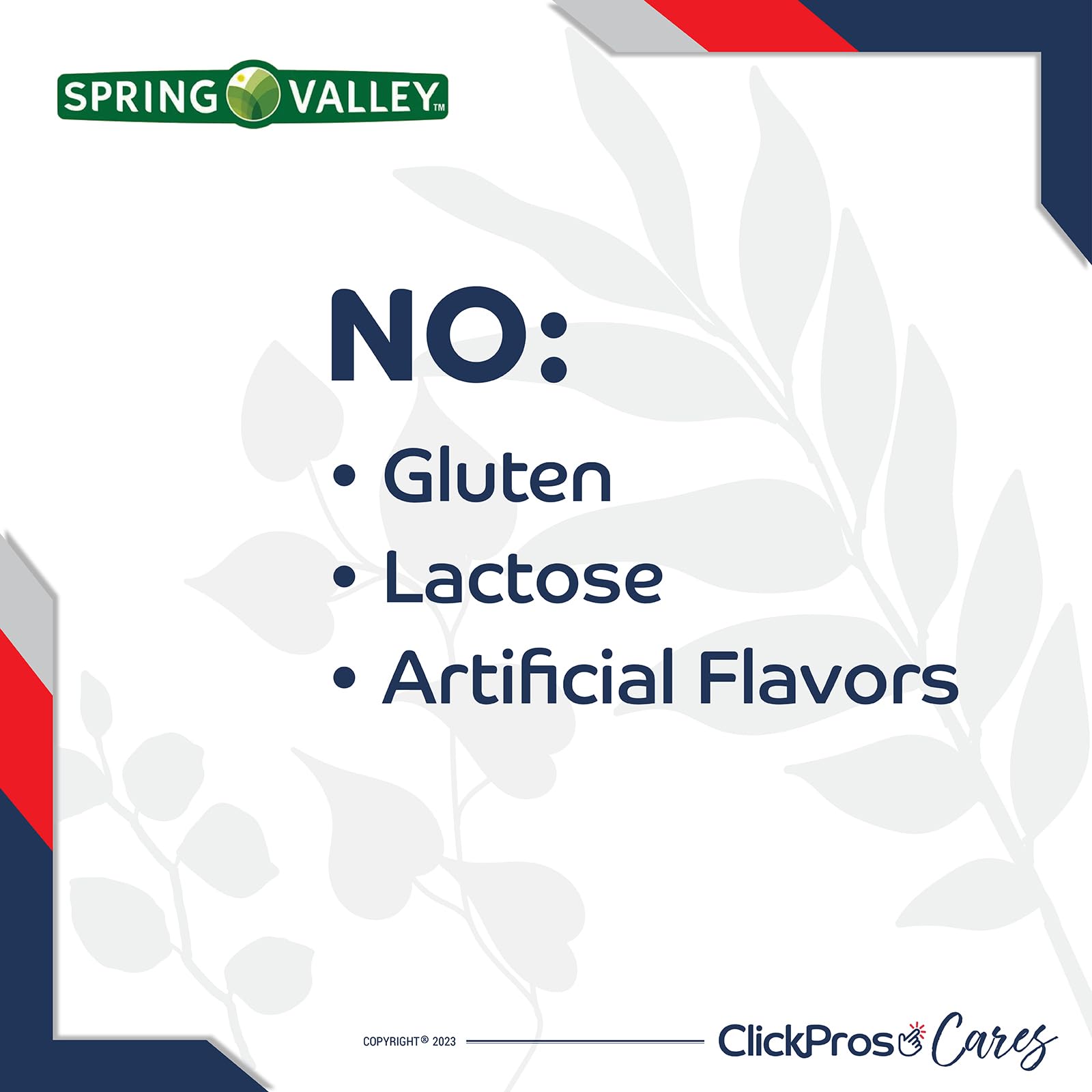 Spring Valley Prenatal Multivitamin/Multimineral for Pregnant and Nursing Women