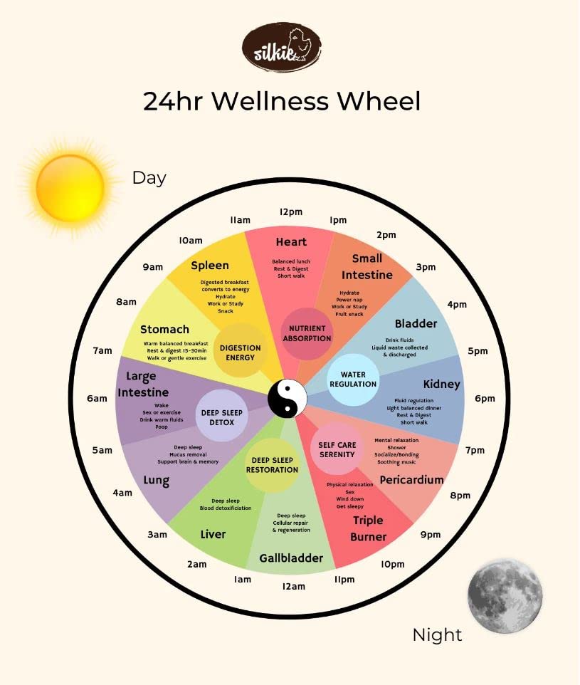 Silkie Herbs Menopause Formula - Hormornal Support and Menopause Relief from Hot Flashes & Night Sweats