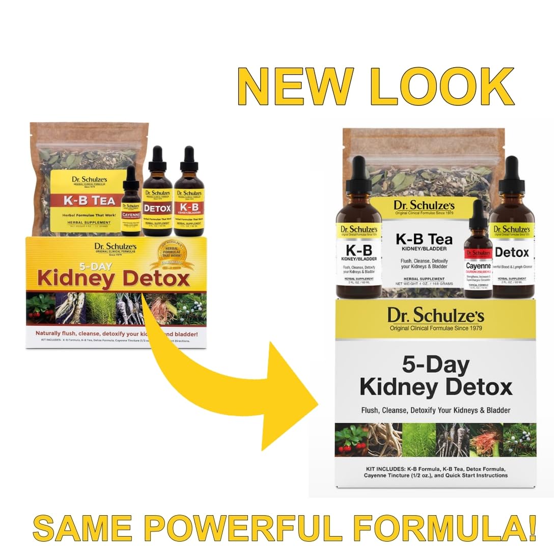 Dr. Schulze's 5 Day Kidney