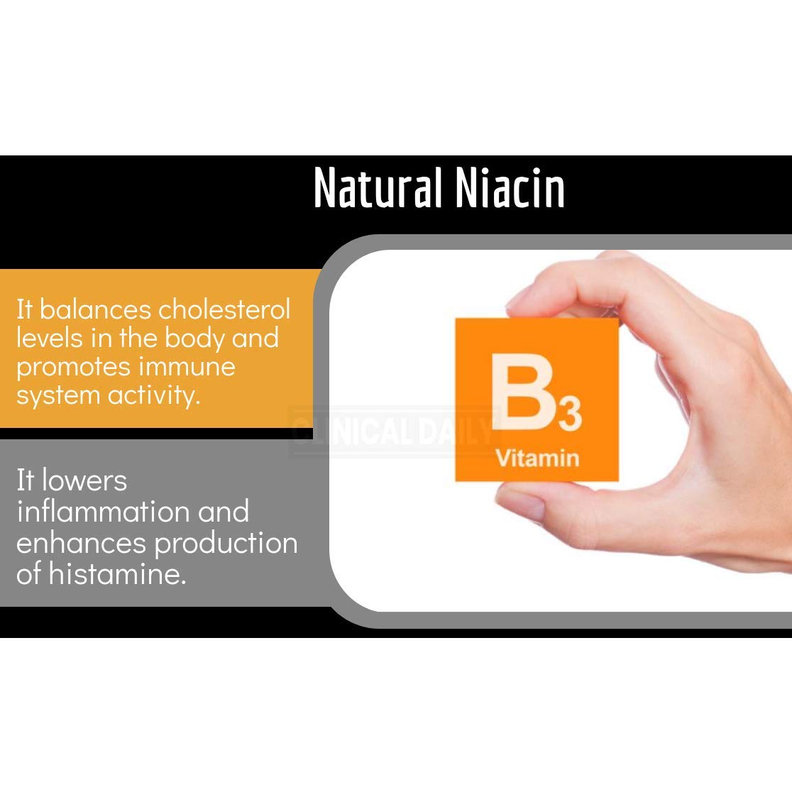 Clinical Daily Blood Circulation Supplements. Butchers Broom, Horse Chestnut, Hawthorn