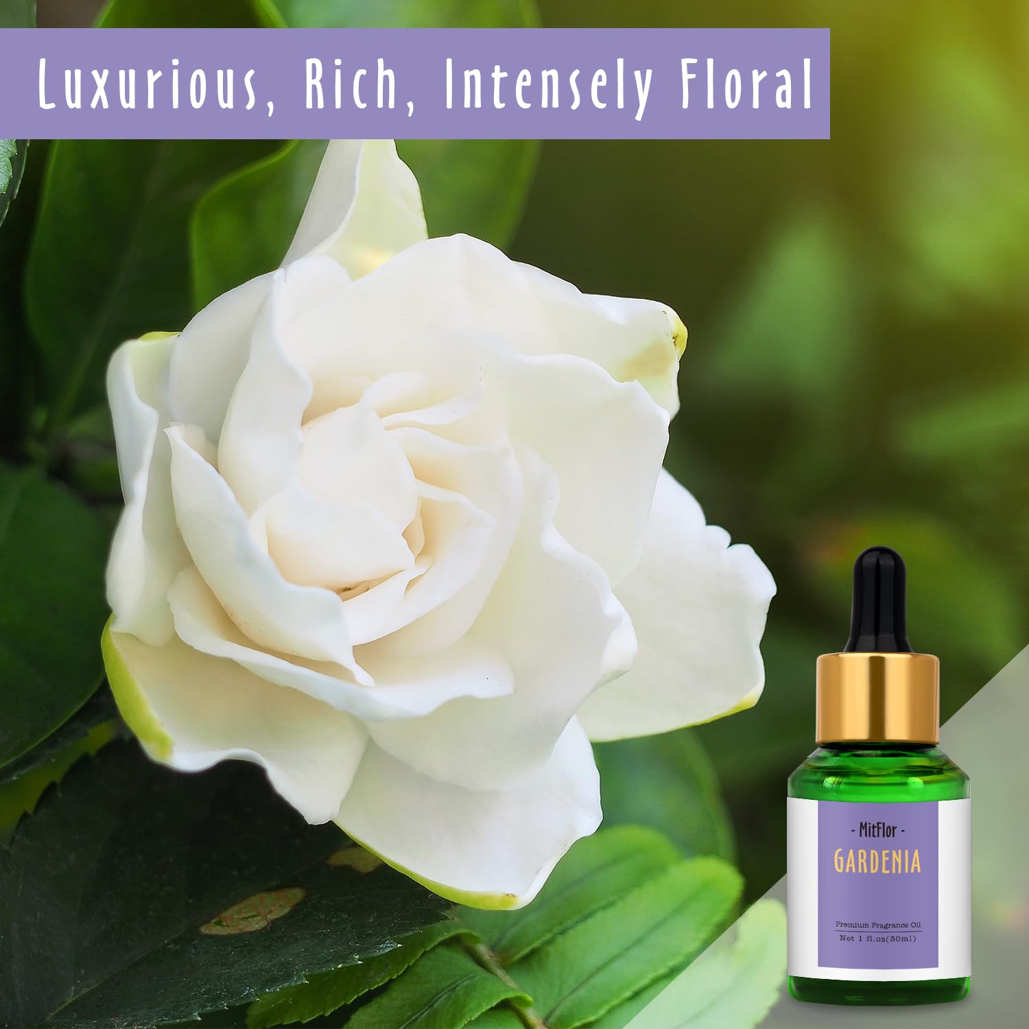 Gardenia Fragrance Oil, MitFlor Single Scented Oil, Large Size Premium Grade Fragrance Oil