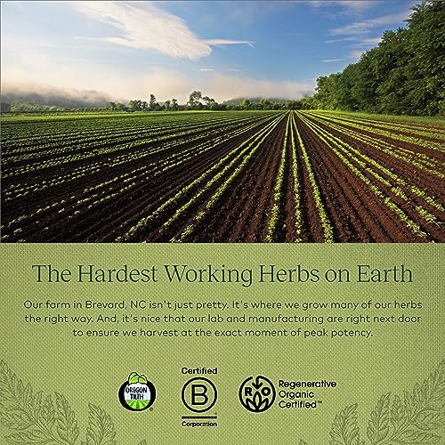 Gaia Herbs Fenugreek Seed - Helps Support Healthy Lactation and Breast Milk Production