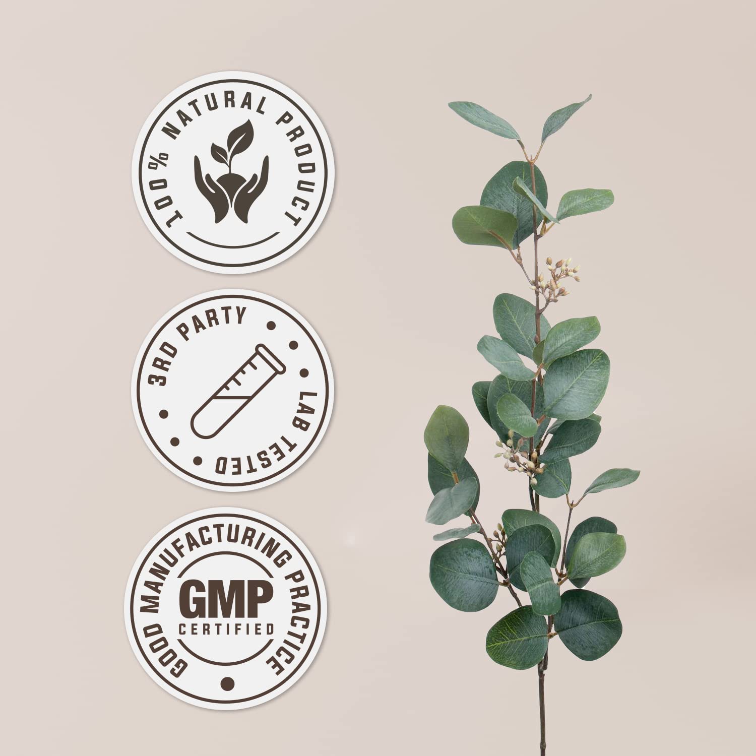 Wild Yam USDA Organic Alcohol-Free Extract | Dietary Supplement, High-Potency Tincture